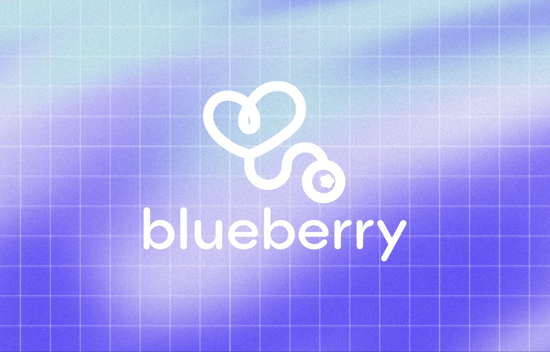 blueberry 